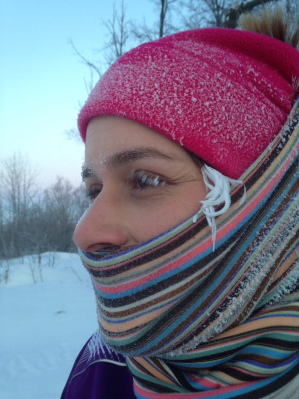 ������� ��������: 