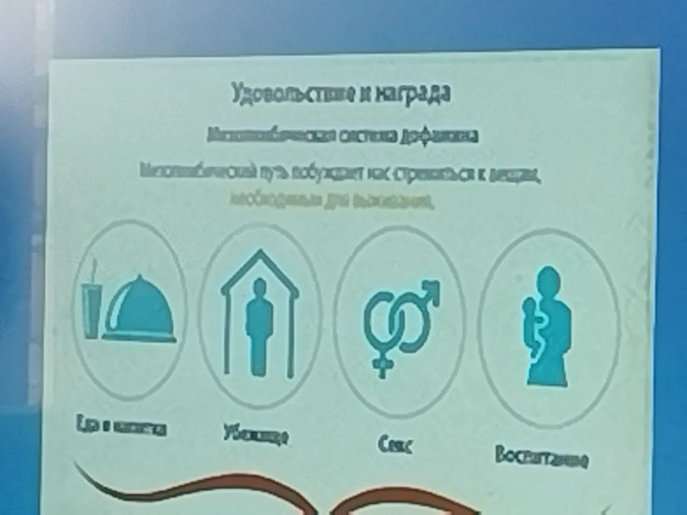 'Чистое поколение ? 2026' 'Чистое поколение ? 2026'