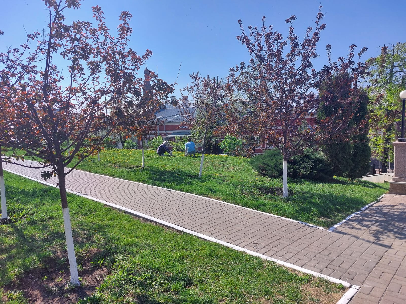 �������� ����� ������� ������� � ������������� ����������