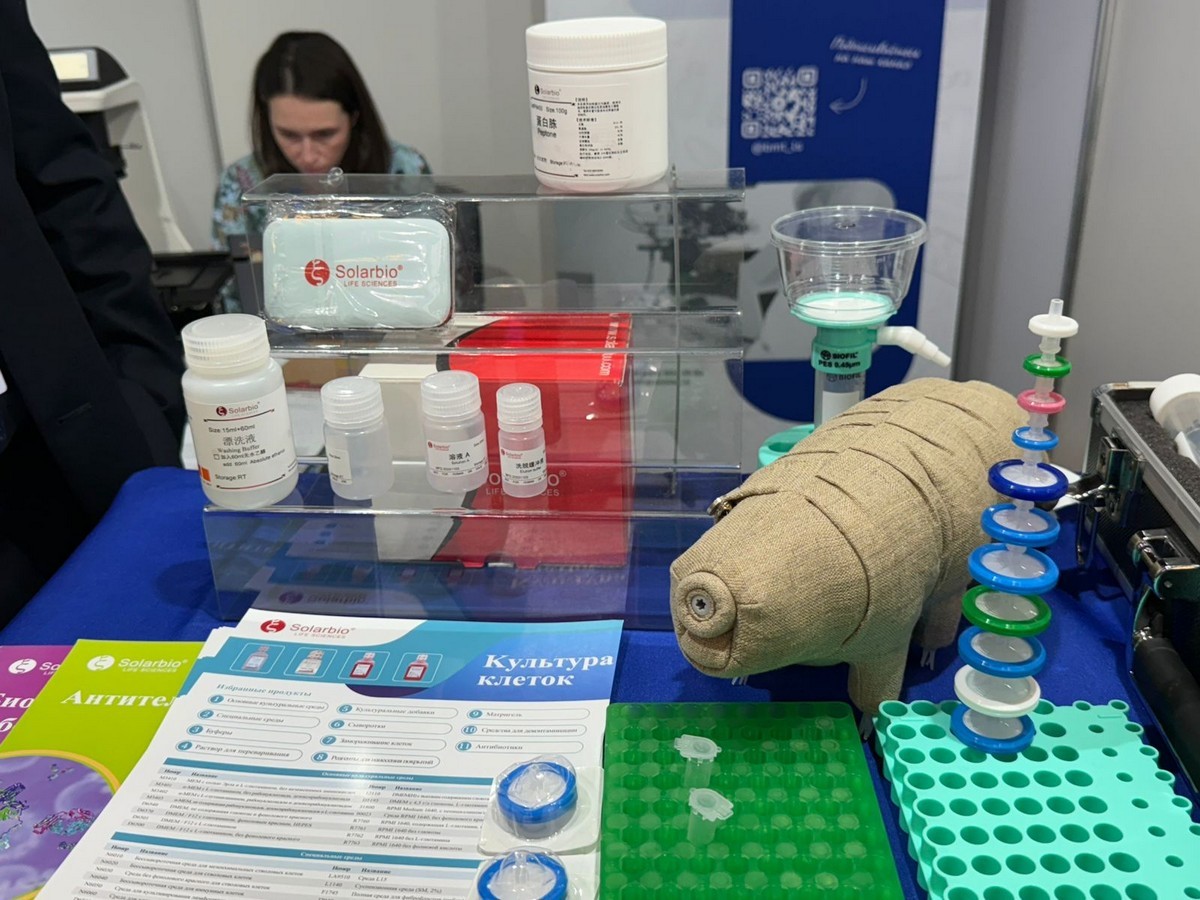 Заведующая кафедрой биохимии, биотехнологии и фармакологии Киямова Рамзия Галлямовна приняла участие в конференции 'Молекулярная диагностика - 2025' Заведующая кафедрой биохимии, биотехнологии и фармакологии Киямова Рамзия Галлямовна приняла участие в конференции 'Молекулярная диагностика - 2025'