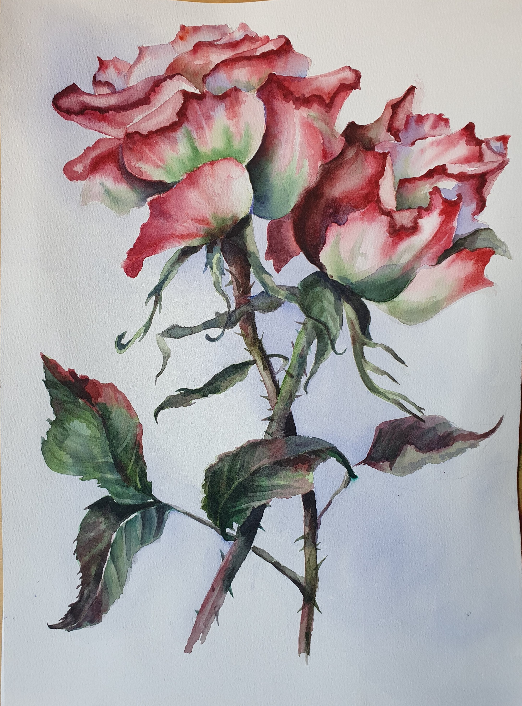 Итоги 1-го отборочного тура V-го республиканского конкурса детского рисунка в стиле ботанической живописи 'Калипсо' Итоги 1-го отборочного тура V-го республиканского конкурса детского рисунка в стиле ботанической живописи 'Калипсо'