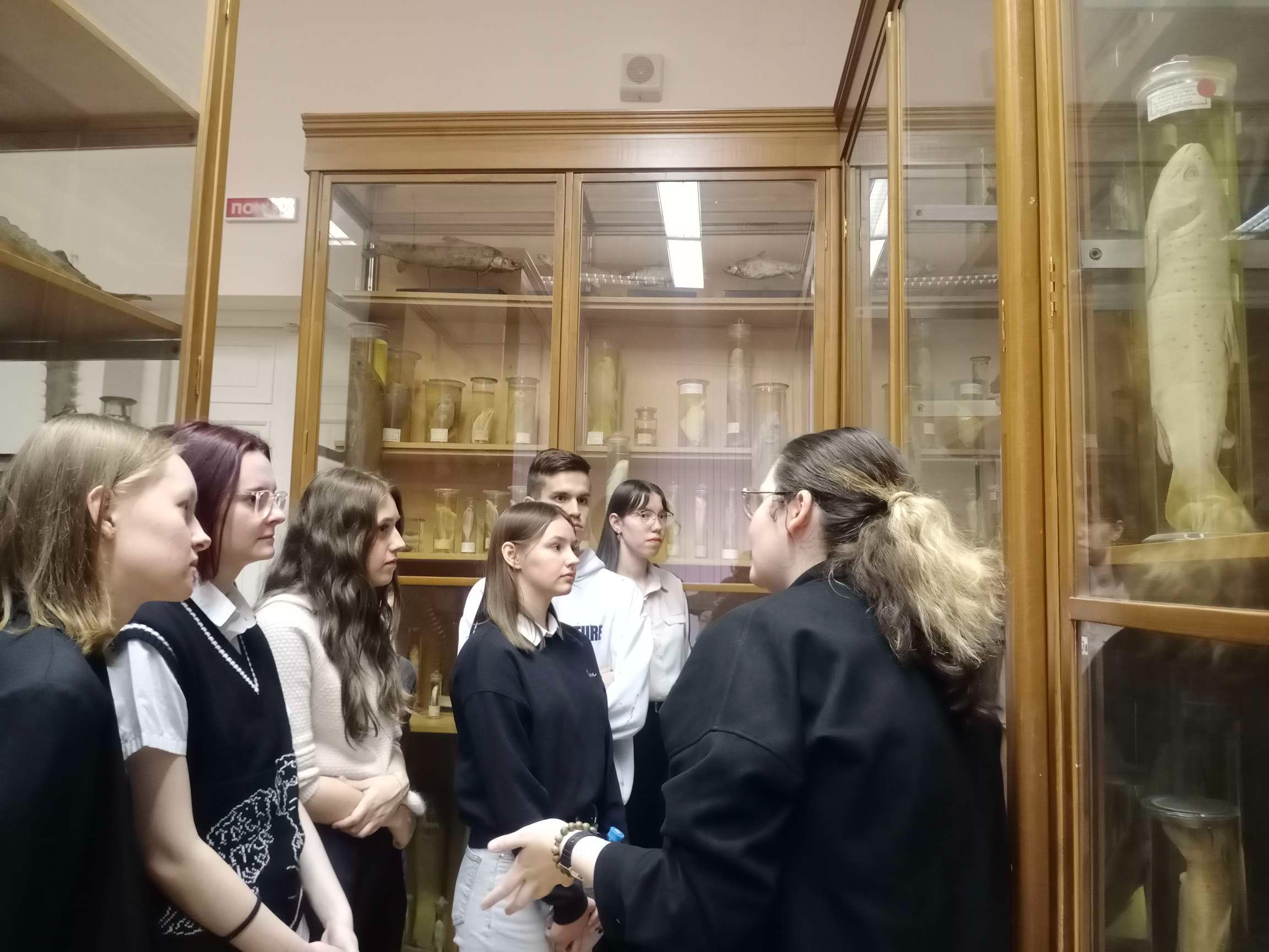 Музеи КФУ ? кладовая знаний будущих переводчиков Музеи КФУ ? кладовая знаний будущих переводчиков