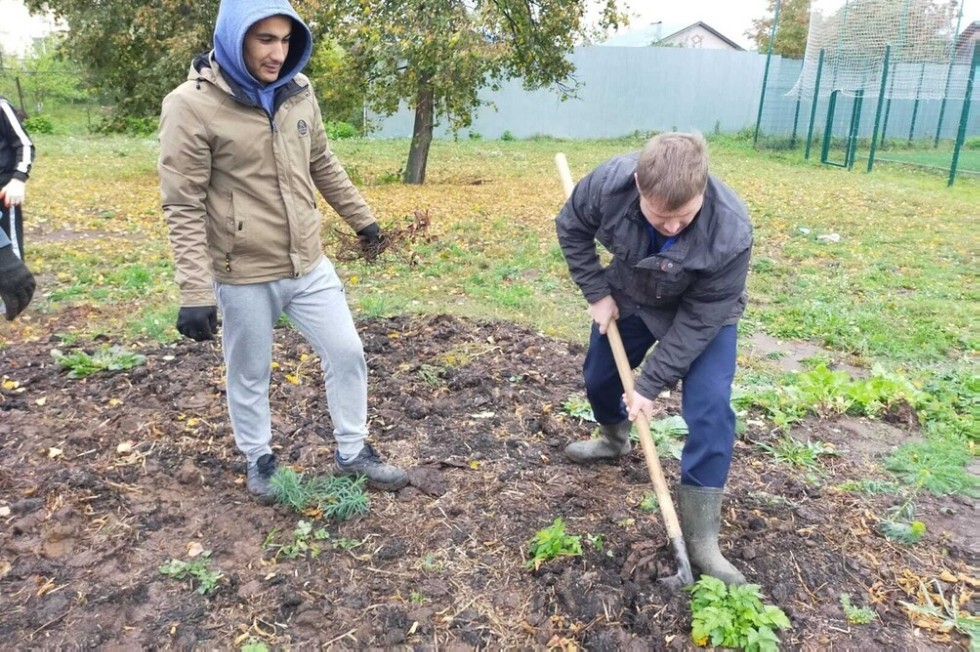 Саженцы в обмен на вторсырье Саженцы в обмен на вторсырье