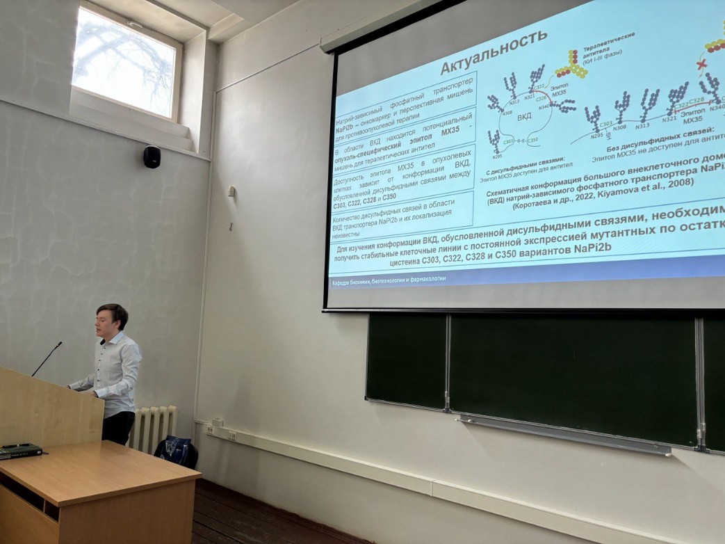 ���� ����� 2024