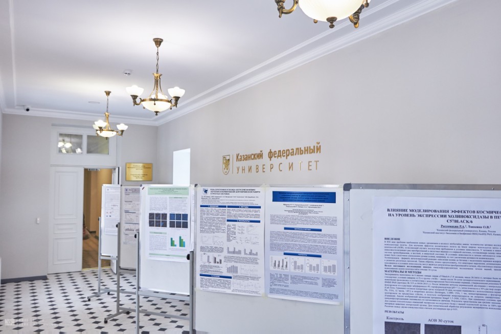 Конференция Конференция