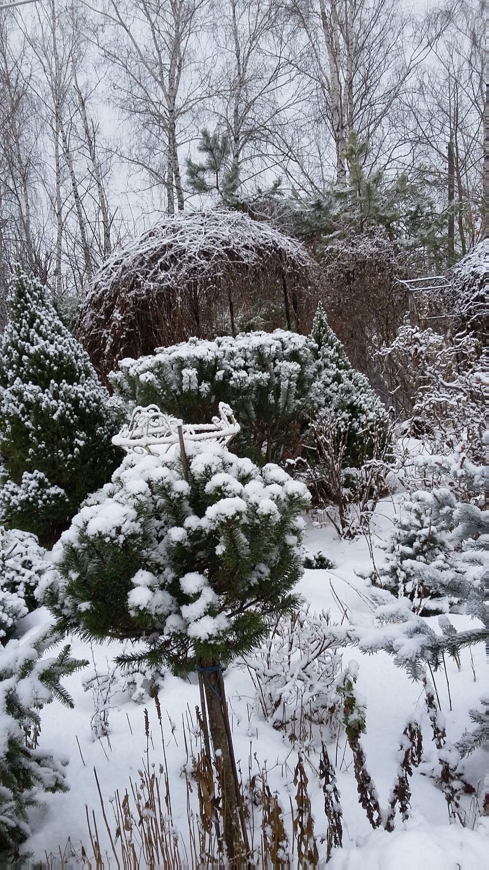 �����������