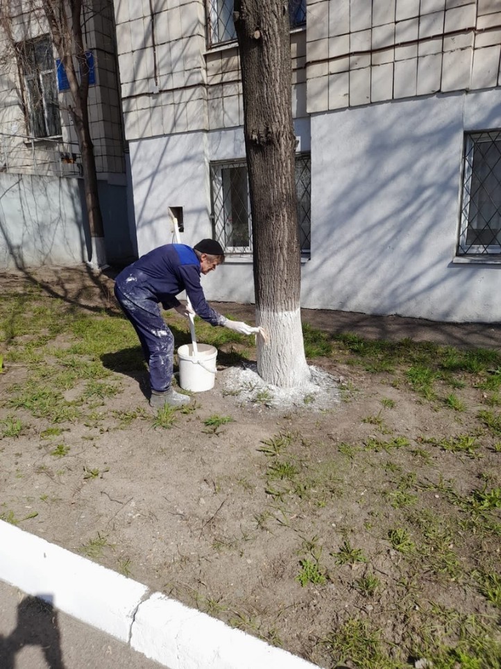Очередные субботники прошли на территориях общежитий Студенческого городка Очередные субботники прошли на территориях общежитий Студенческого городка