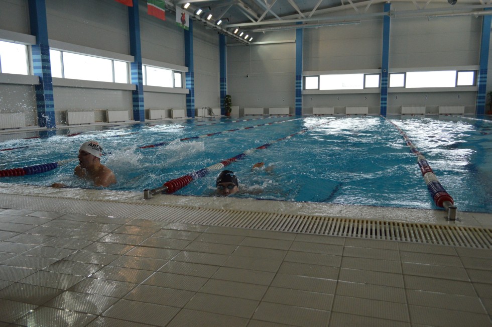 � �������� ���� - �������� ���