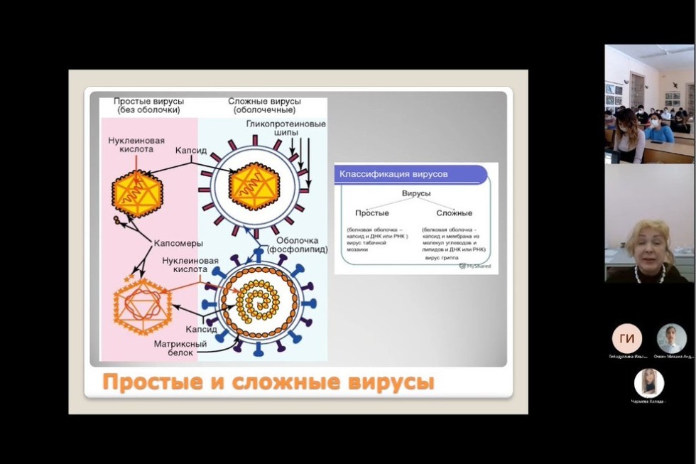 ���� �������� ������