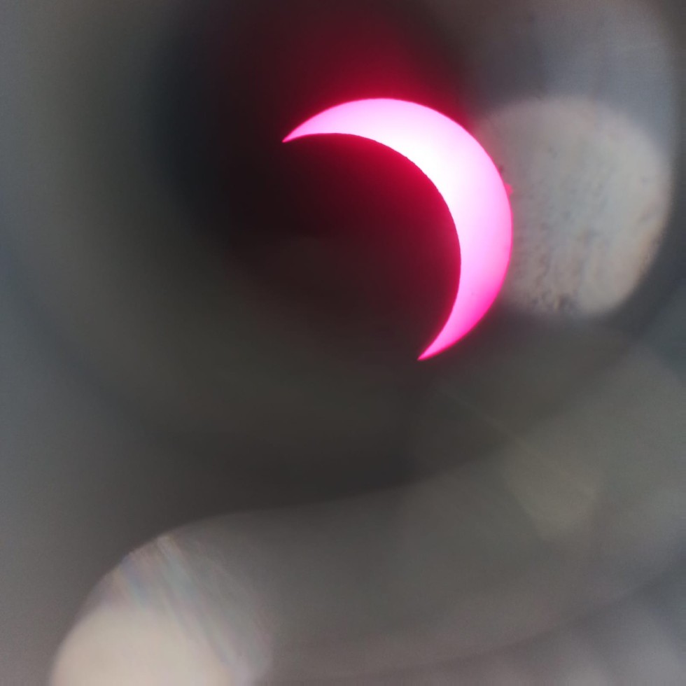 ������ �������� �� ����