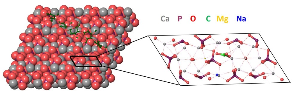 ������������