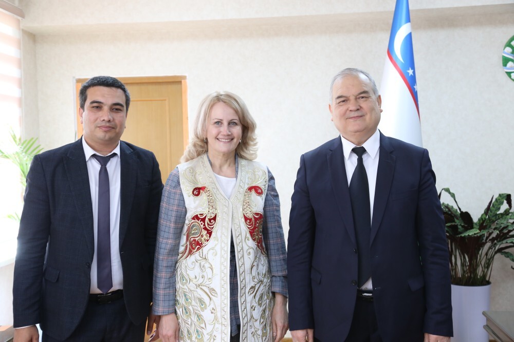 International cooperation