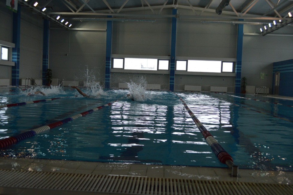 � �������� ���� - �������� ���