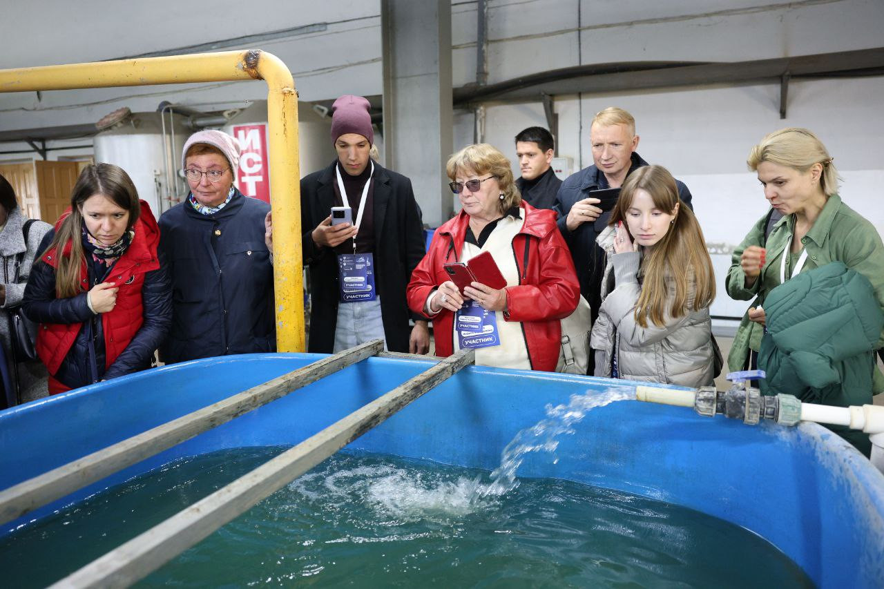 ������� ������� � �����������-�������� ��������� ������� ������ � ���������