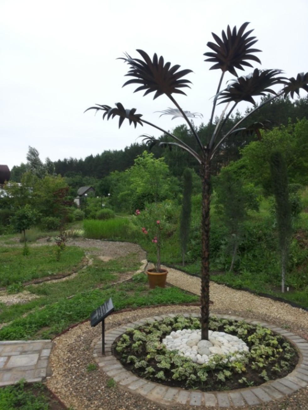 Экскурсии в ботаническом саду Экскурсии в ботаническом саду