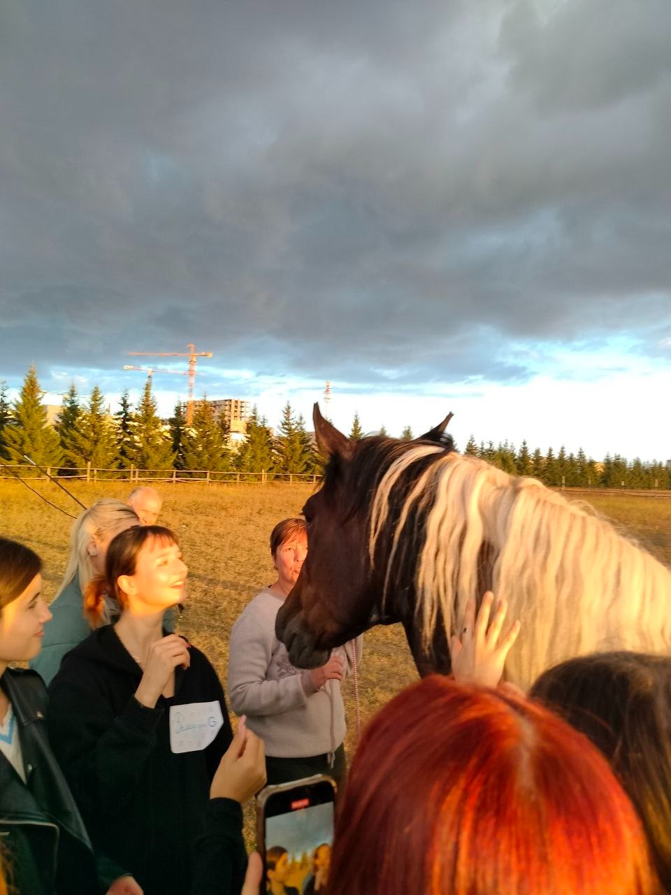 ���������� - ��� ������ ��������� �������������� ���������� ������������