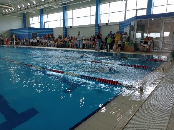 �������� ����� �����