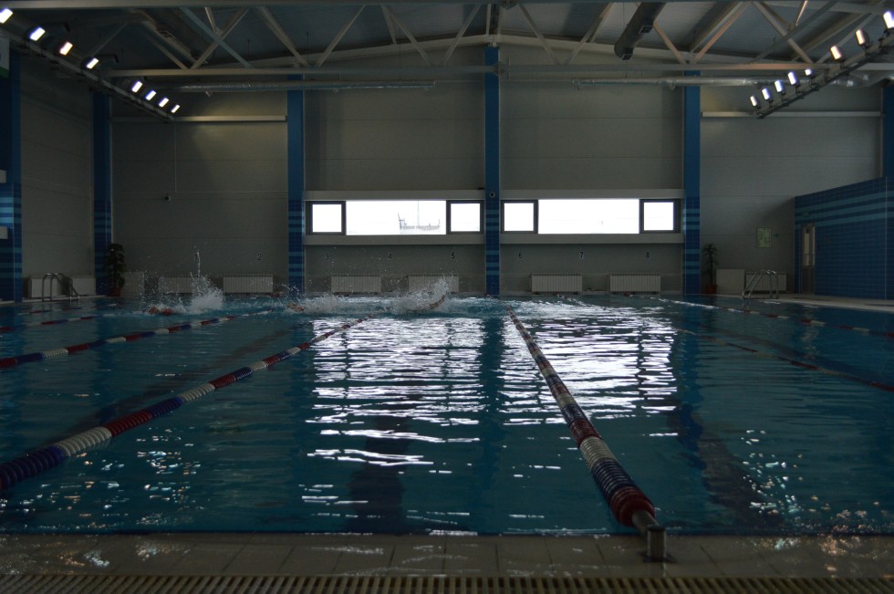 � �������� ���� - �������� ���