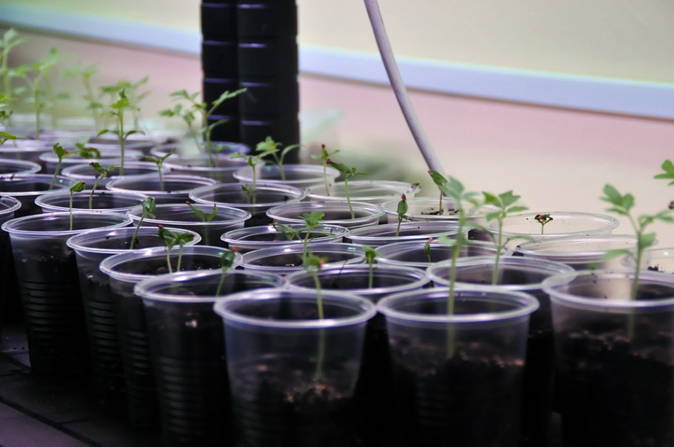 Софинансирование Софинансирование