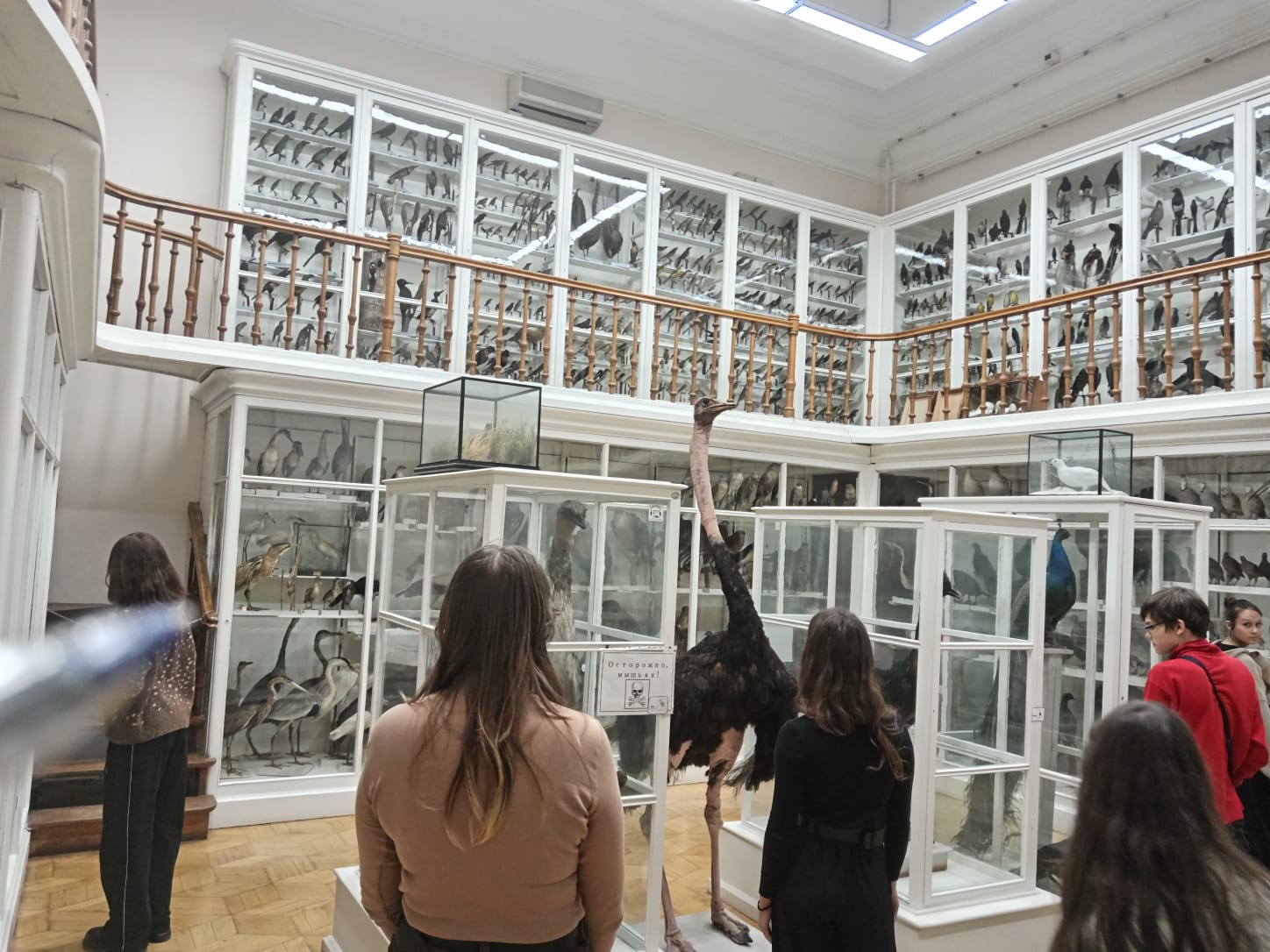 ��������: ������� � 100 ������ ,���������� � ���, ����� �� ���������� � ���, ����� ���