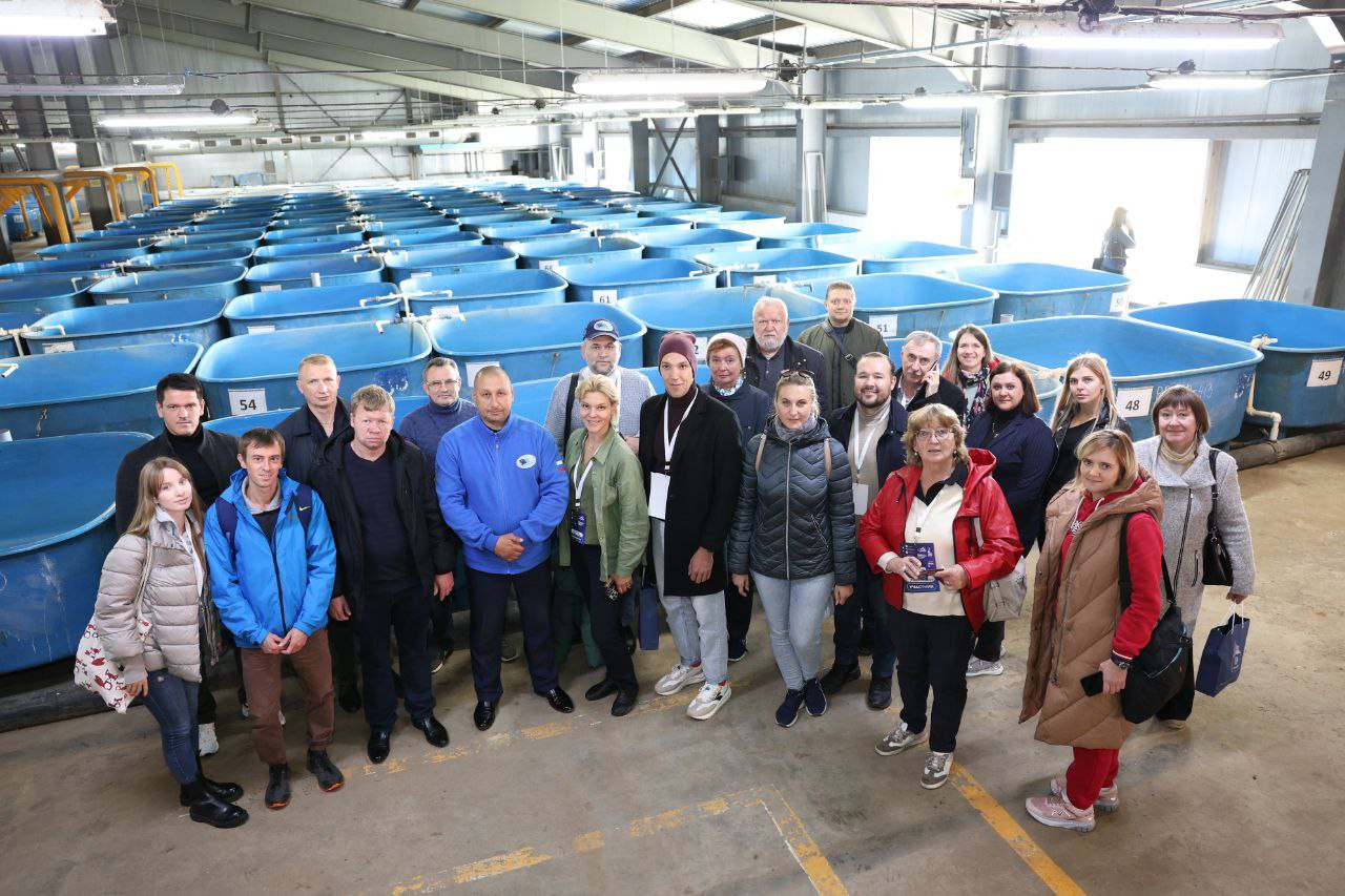 ������� ������� � �����������-�������� ��������� ������� ������ � ���������