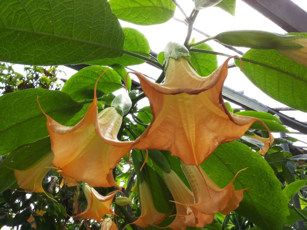 ��������� � ������������ ����