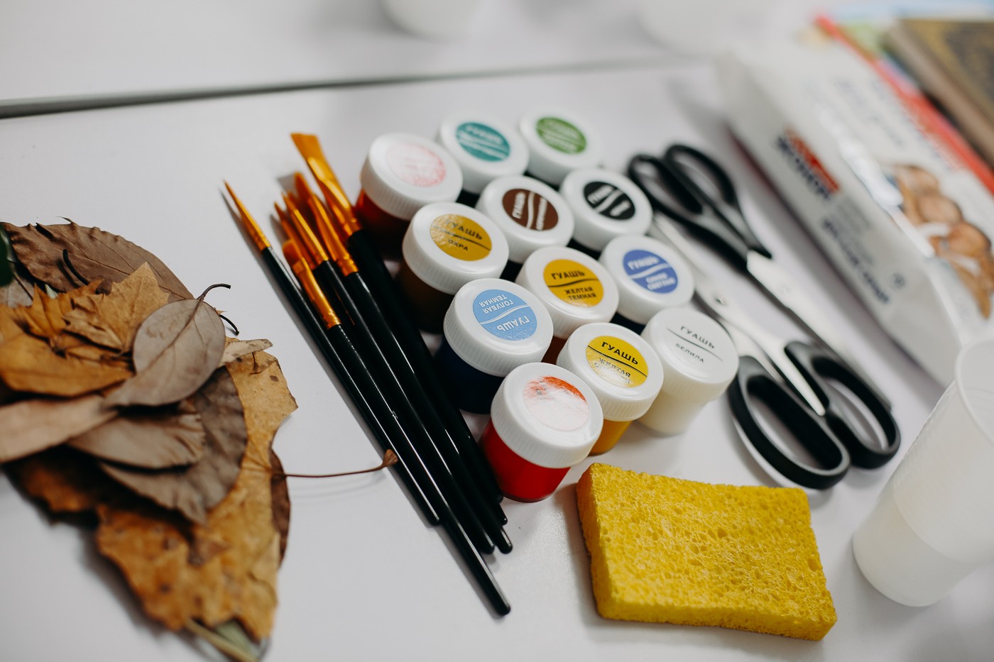 В КФУ проходит фестиваль 'Открывая мир науки' В КФУ проходит фестиваль 'Открывая мир науки'