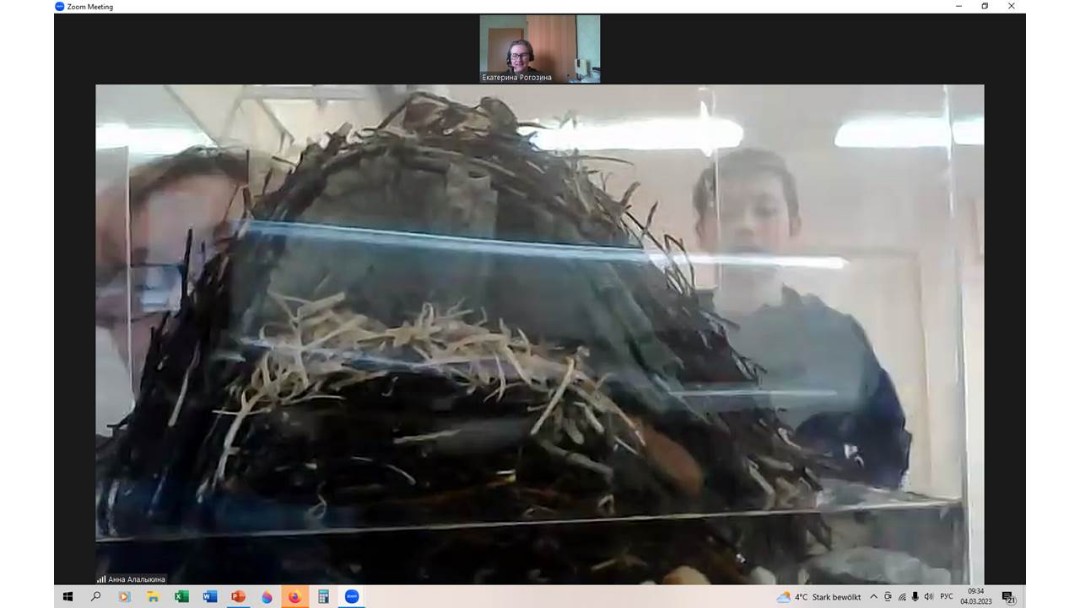 ���� ���������� ���