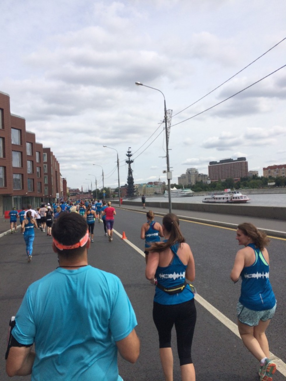 ������� ��������: 