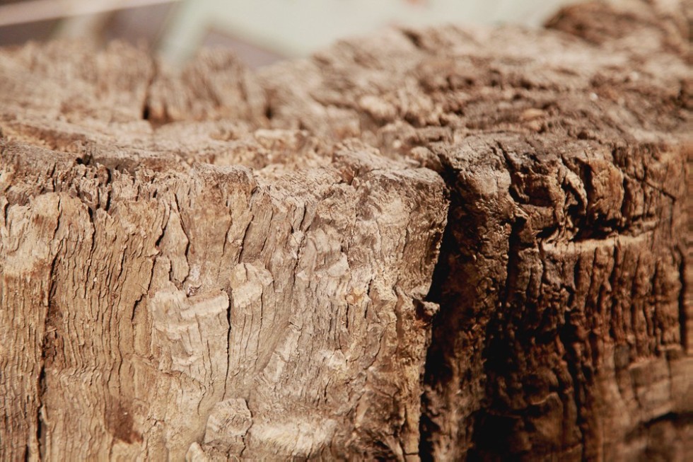 ����� ������