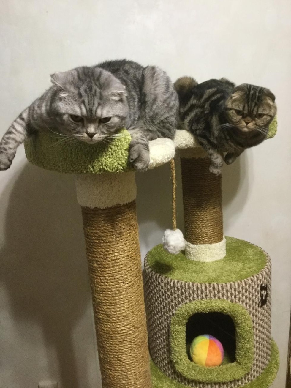 ���� ���������: '����� ? ��� �����, ������� ������� ������'