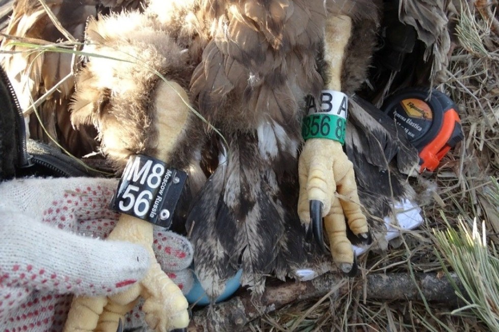 '������� ����������': ��� ������ ������� ����������