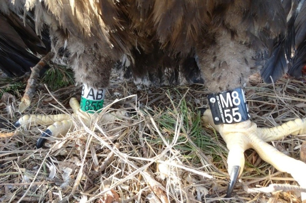 '������� ����������': ��� ������ ������� ����������