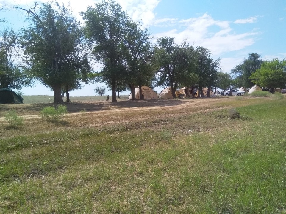 �������� ������� ����