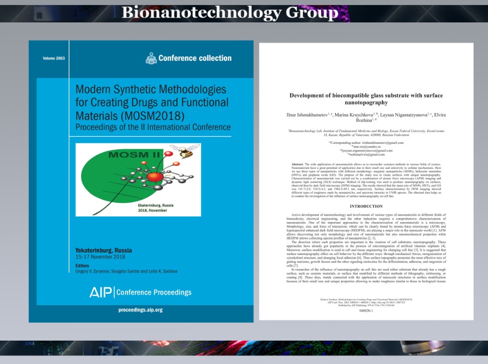 New article released ,AIP Conference Proceedings, surface nanotopography, nanoparticles