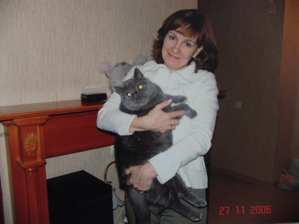 ������ ���������� ���, ����������, �������� �������������....���� �����������