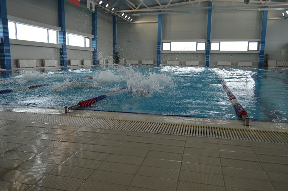 � �������� ���� - �������� ���