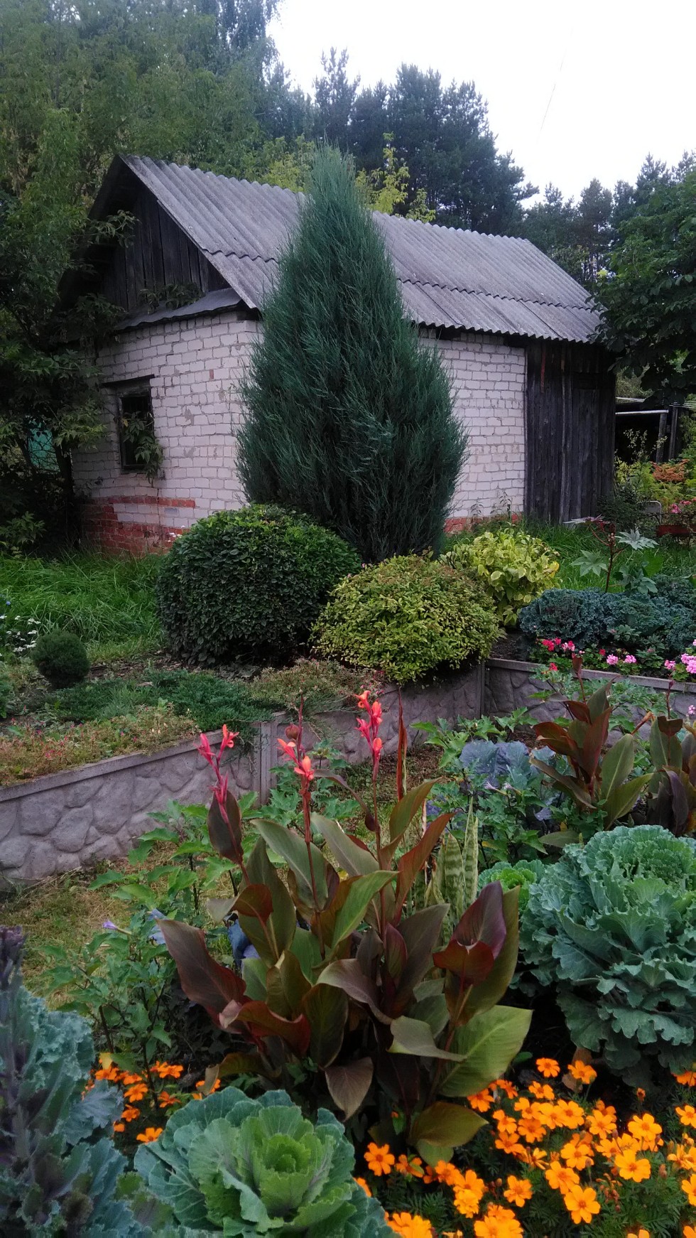 ���������� ��������