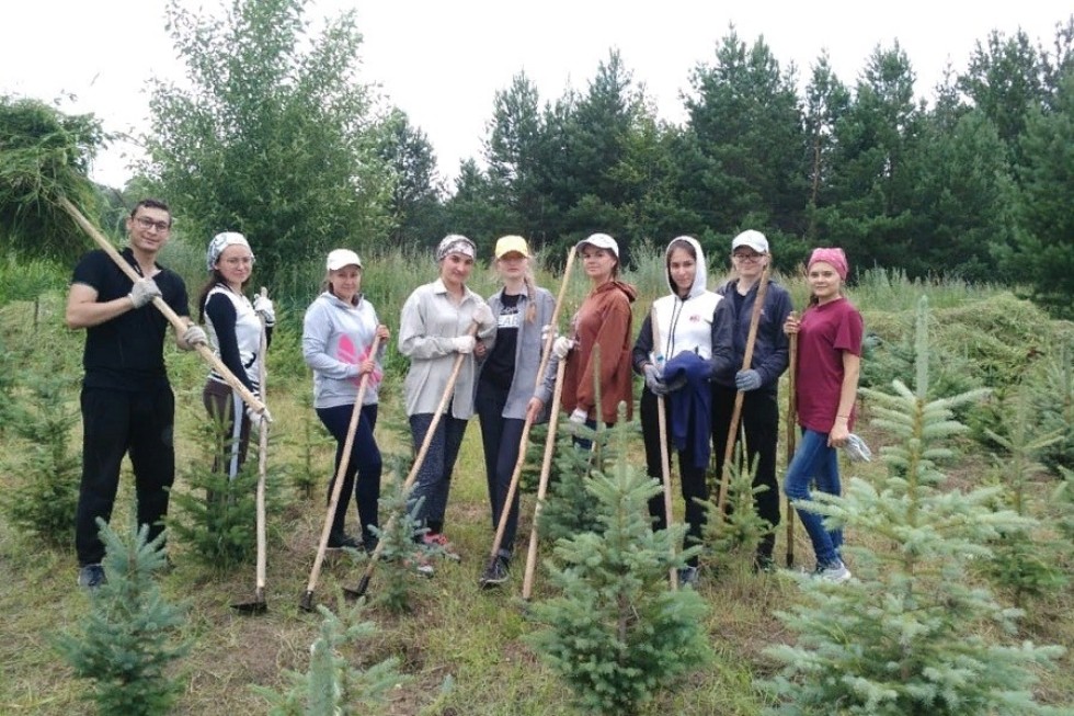 Готовь саженцы летом! Готовь саженцы летом!