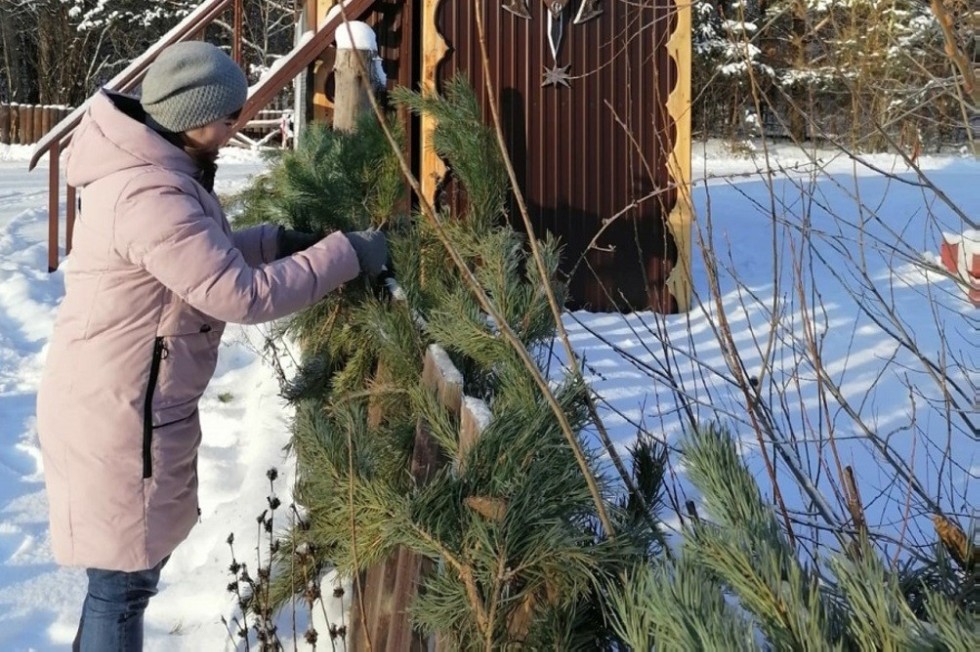 День волонтера в заповедном острове 'Нижняя Кама' День волонтера в заповедном острове 'Нижняя Кама'