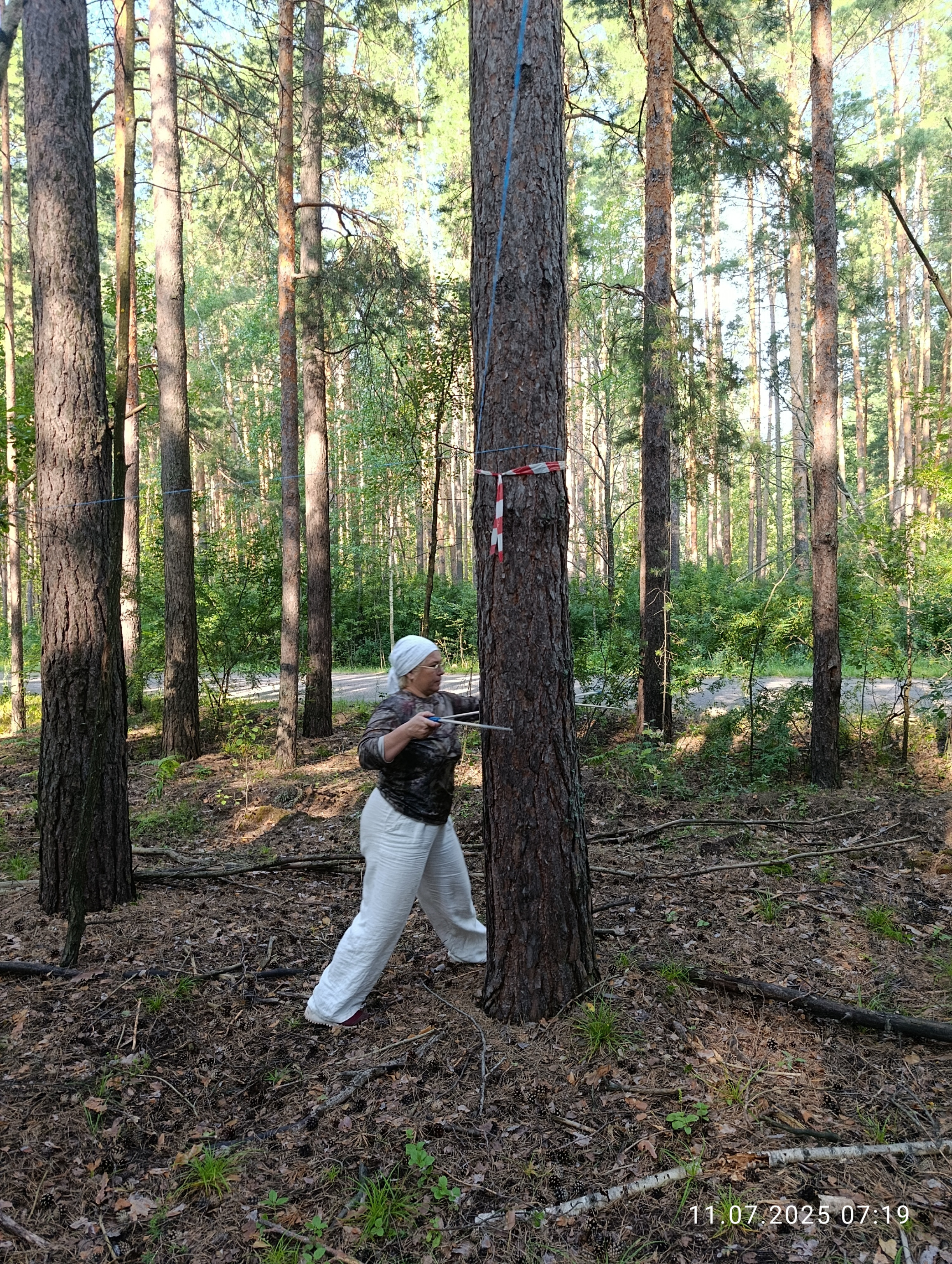 Исследования запасов углерода в сосняках Национального парка Исследования запасов углерода в сосняках Национального парка