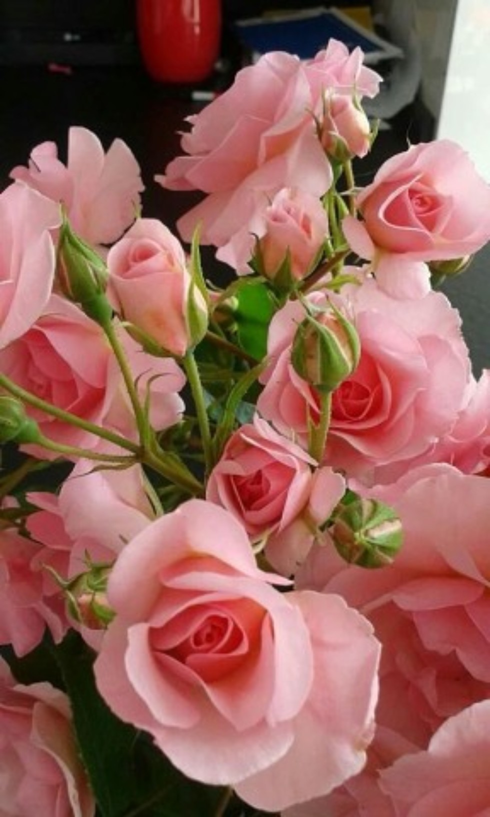 ������ - �����, ������� �� ��� ��������