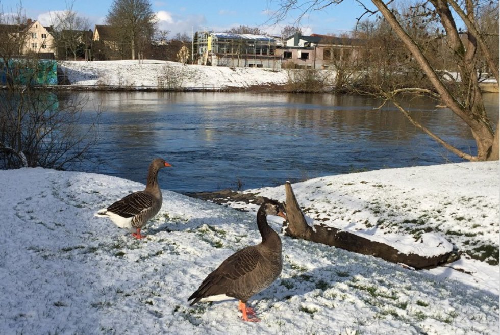 ������� ���������� � ��������� �������� ����������� �������� ����������� ������������