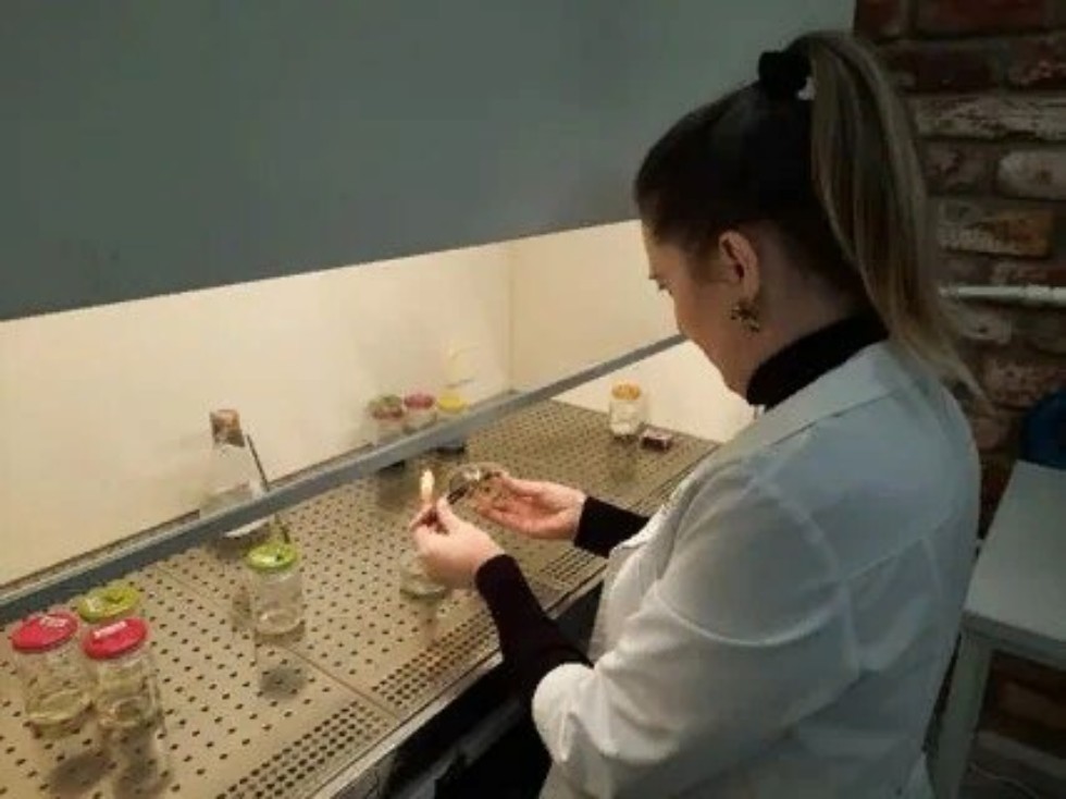 Ждем вас в магистратуре Ждем вас в магистратуре