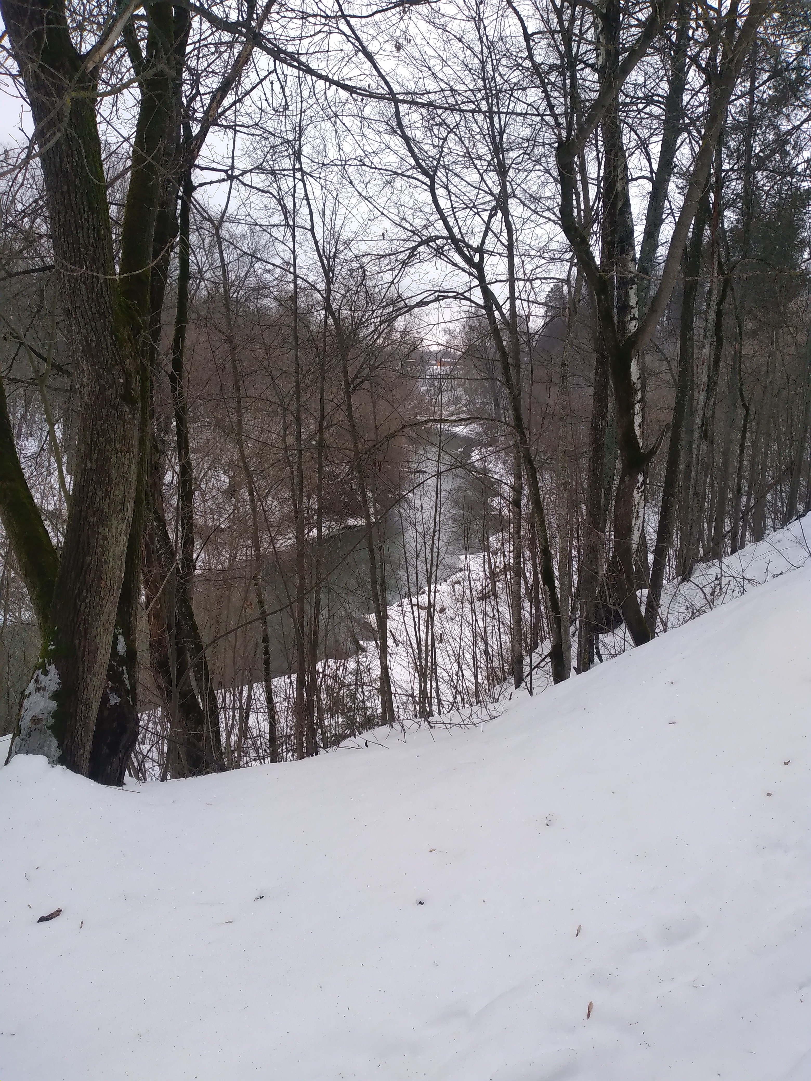 � �������� - �����?.