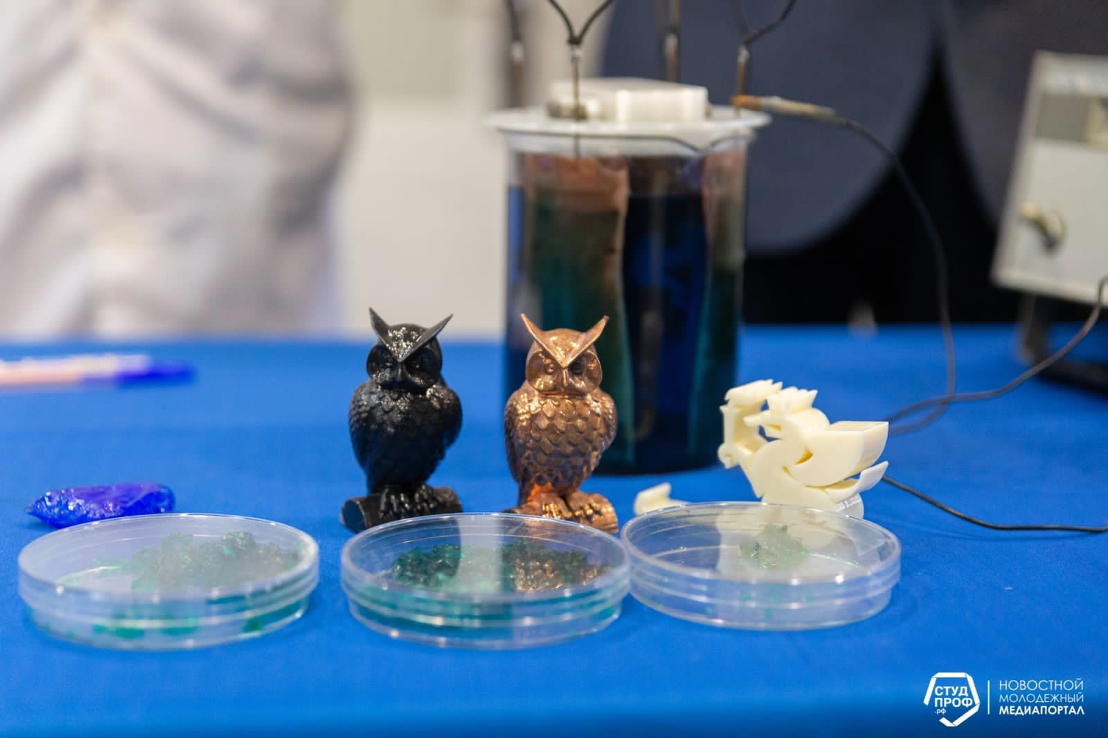 ���������� �������� ��������� ��� ����� ��� ��������������