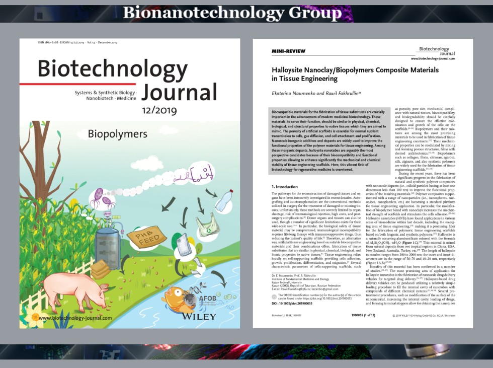 16th article this year ,Biotechnology Journal, biopolymers, halloysite nanotubes, scaffolds, tissue engineering