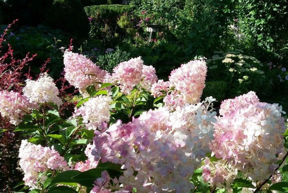 �����������