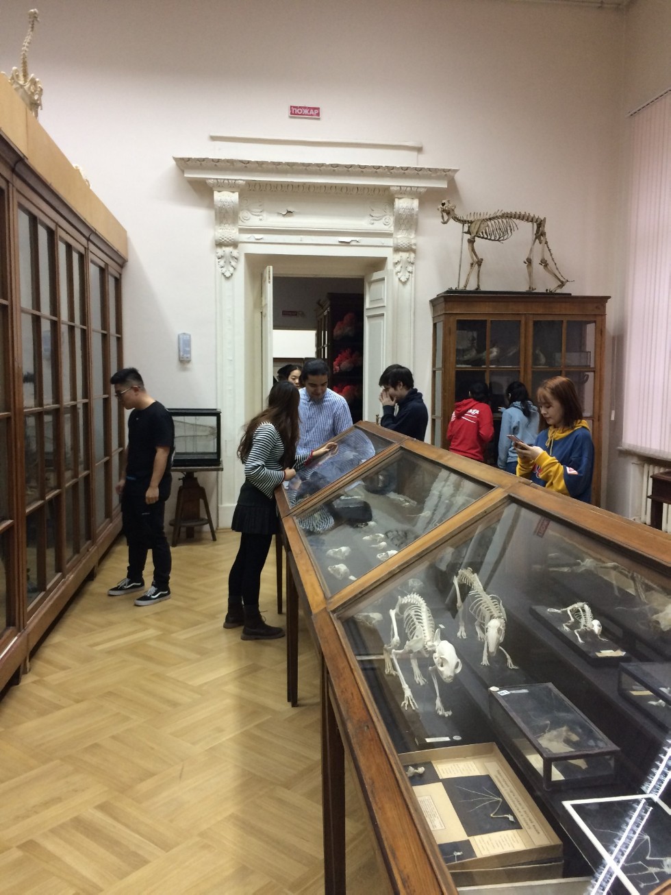 ����� ? ���, � ������ �������, ����������!