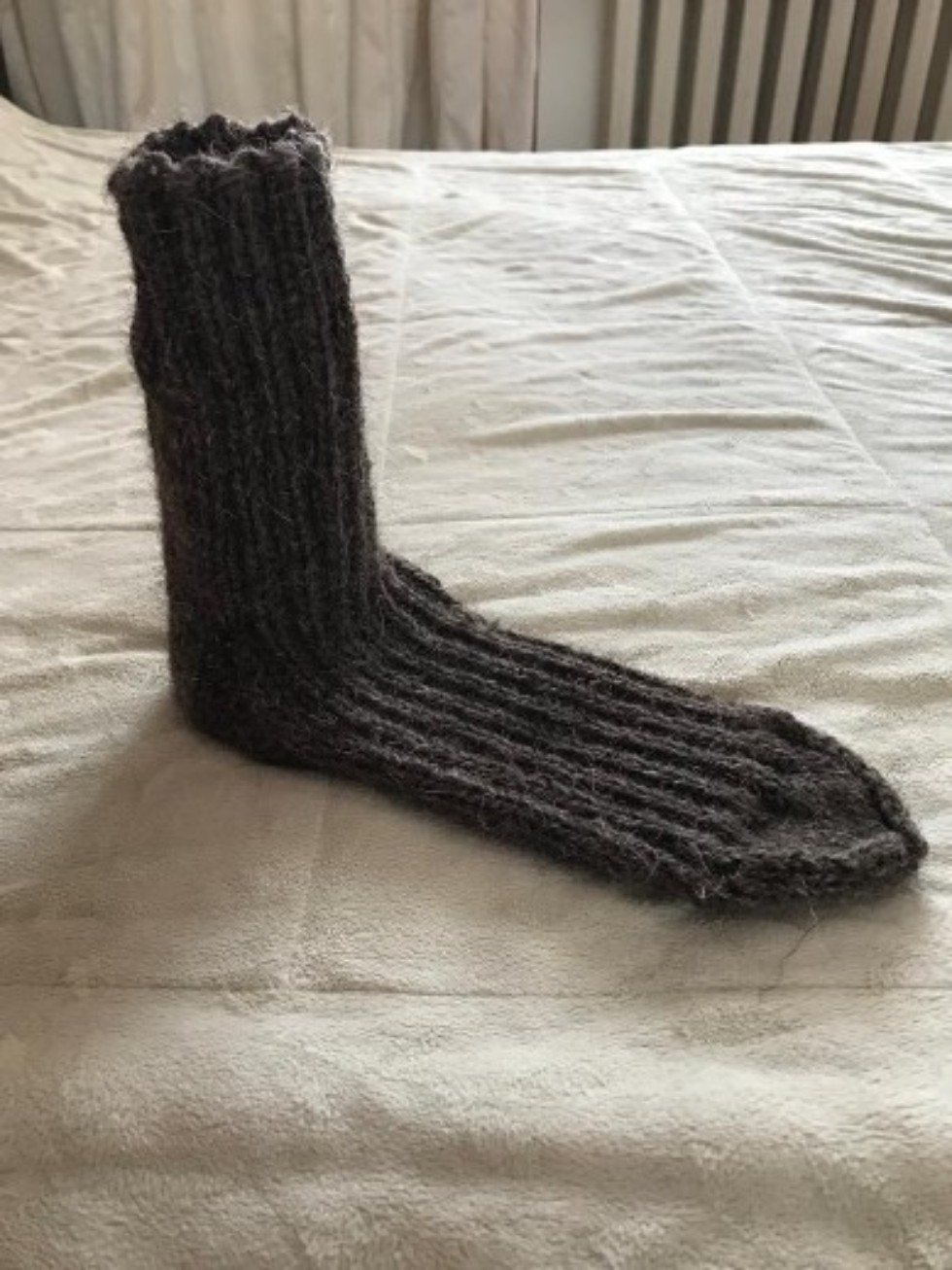 Совет ветеранов КФУ присоединился к акции Совет ветеранов КФУ присоединился к акции